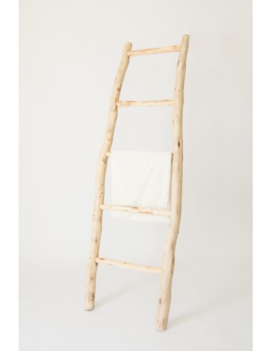 Baton Ladder