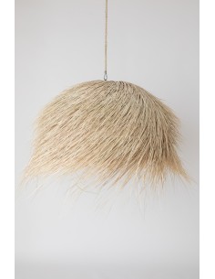 Demie-boule palm tree...