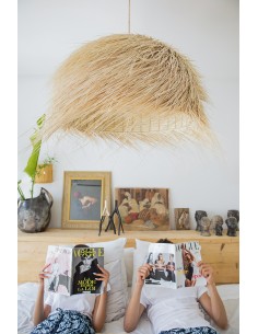 Demie-boule palm tree... 2